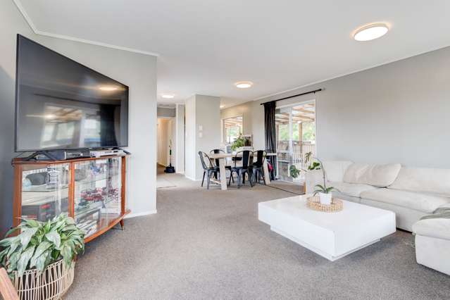 161 Bradbury Road Botany Downs_3