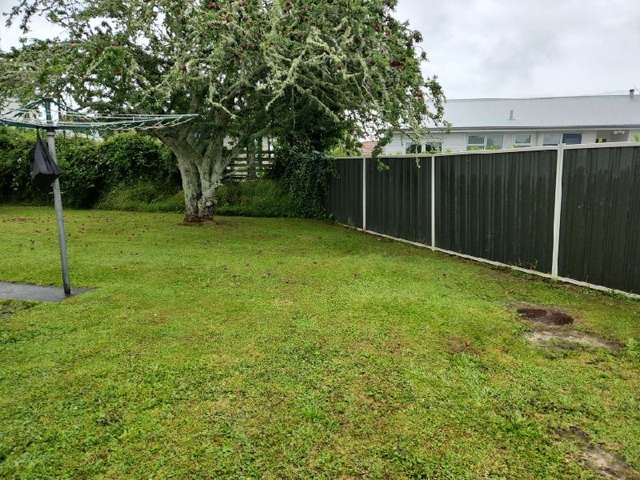 29 Tongariro Street Chartwell_3
