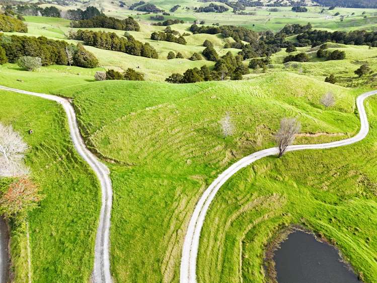 1858 Pukehuia Road Dargaville_5