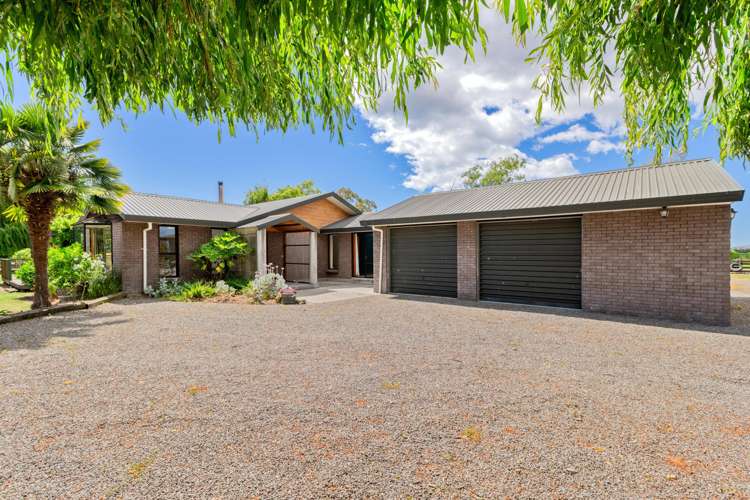 2D Ferry Road Spring Creek_22