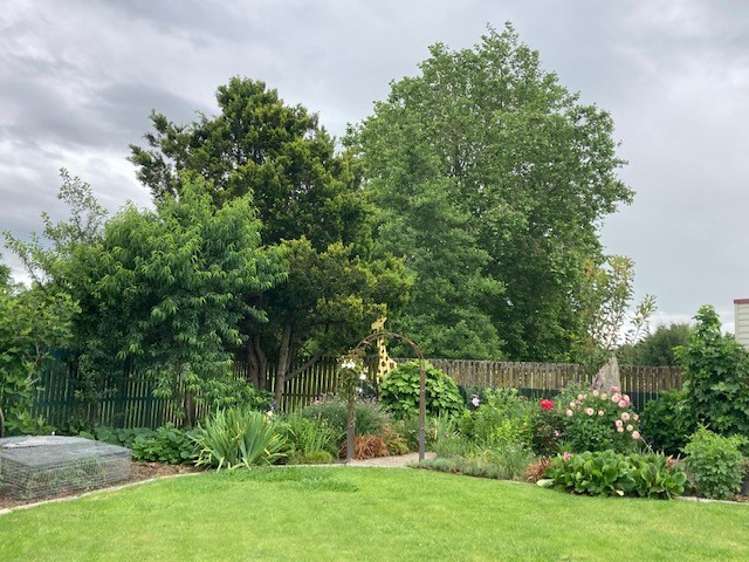 166 Hinuera Road Matamata_5