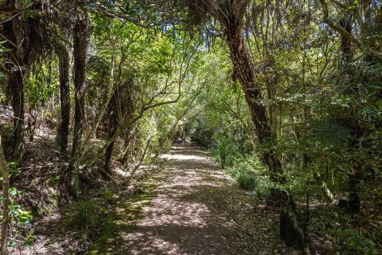 29 Te Aroha Avenue Oneroa_24
