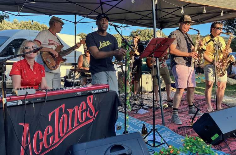 276 Bethells Road Bethells Beach_33