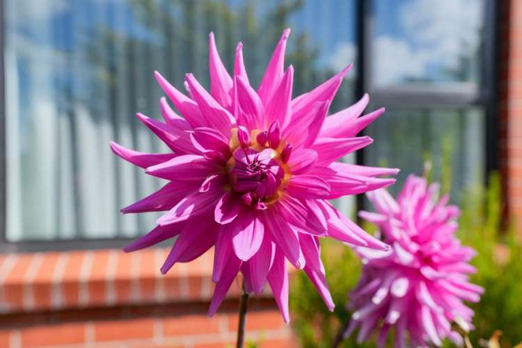 145 Moana Street Rosedale_34