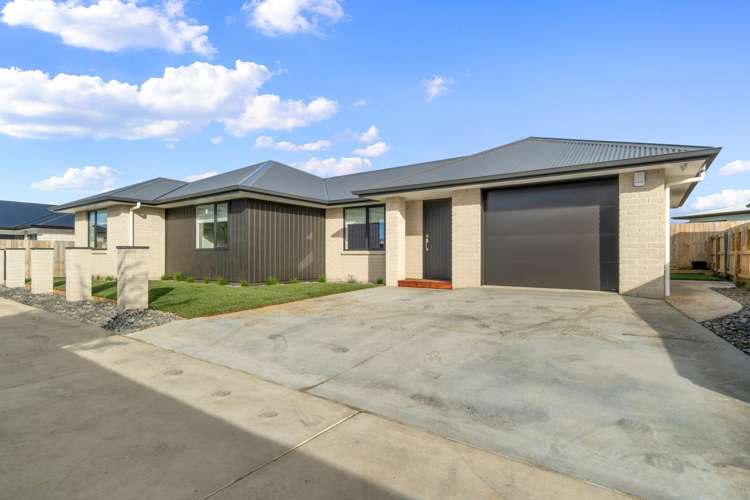 65b Whitmore Street Kihikihi_15