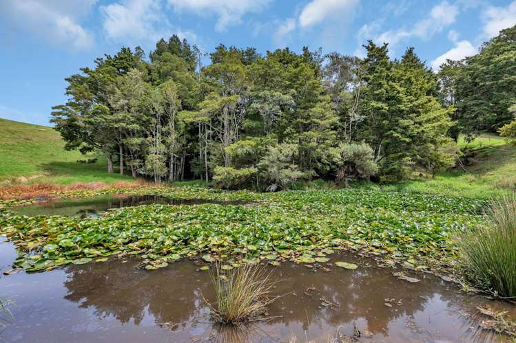 Pipiwai Road Purua_40