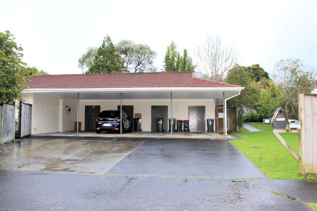 46 Richard Farrell Avenue Remuera_4