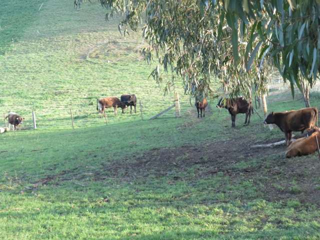 1629 Weston-Ngapara Road Enfield and Surrounds_2