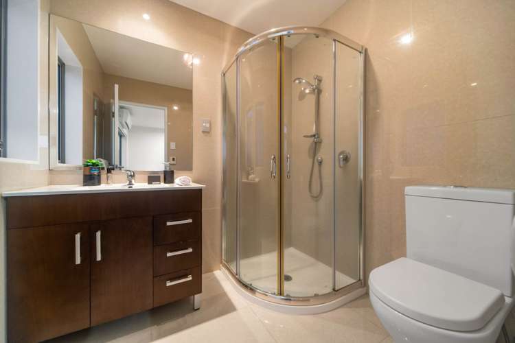 38 Helianthus Avenue Flat Bush_14