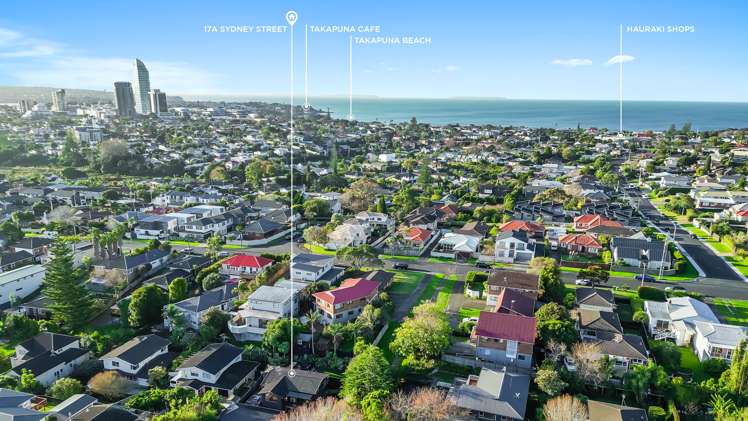 17a Sydney Street Hauraki_14