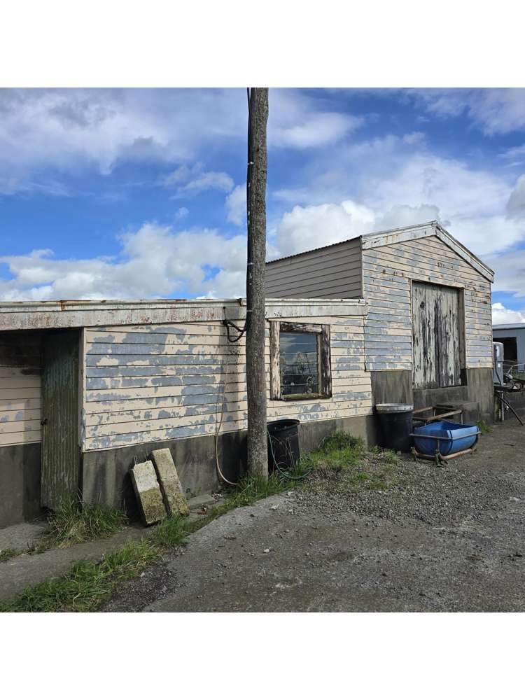 146 Victoria Road Stratford_10