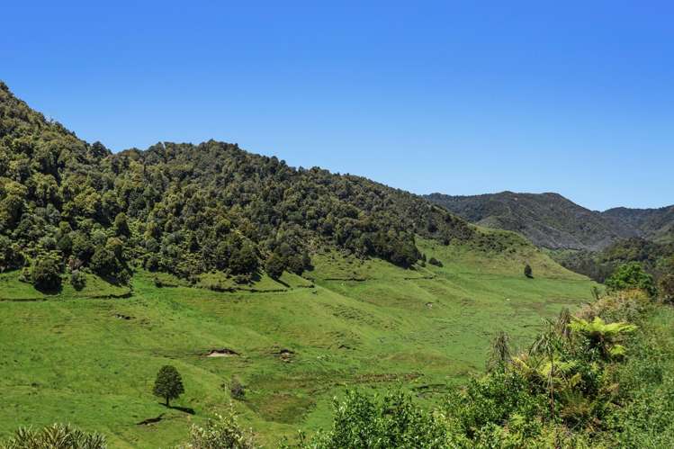 2060 Motu Road Opotiki_21