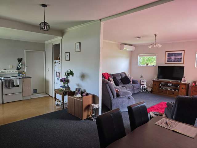 15 Manchester Street Ashburton_4