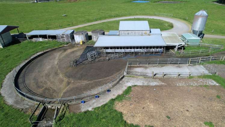 374 Rakauwahia Road Taheke_7