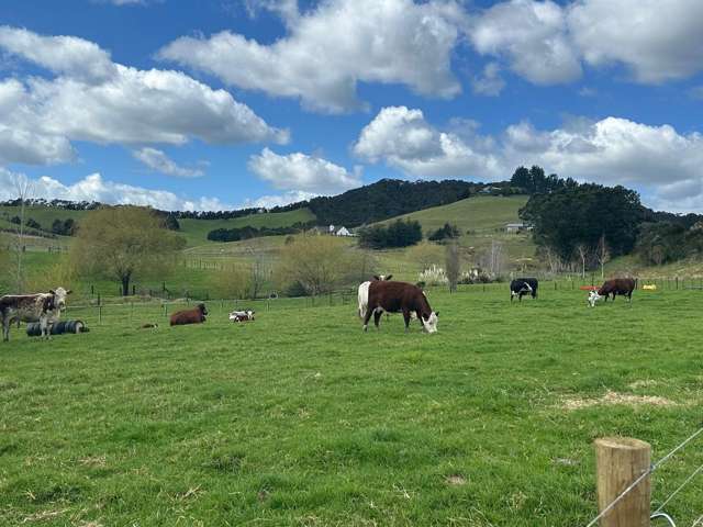 A Charming, Character filled 3.9 ha on Puketona Road, Paihia