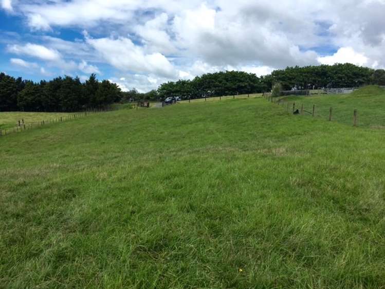 244 Devich Road Mangawhai_8