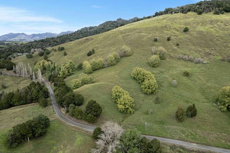 Kirikopuni Road Parakao_4