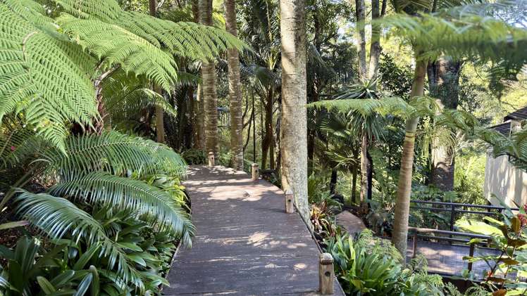 107 Hadfield Street Beach Haven_12