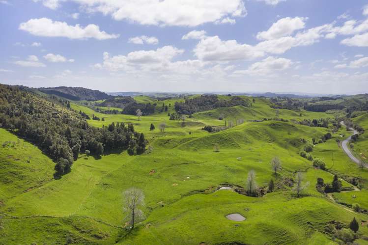 2140 State Highway 4 Aria_20