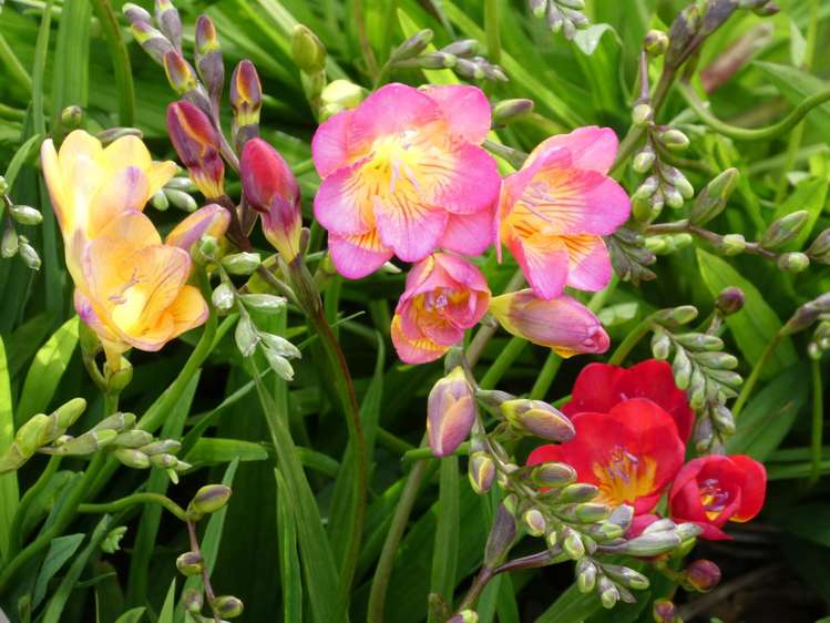 444F Matakawau Road Awhitu_10