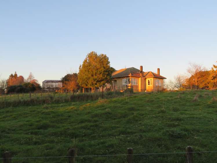 866 Bond Road Te Awamutu_3