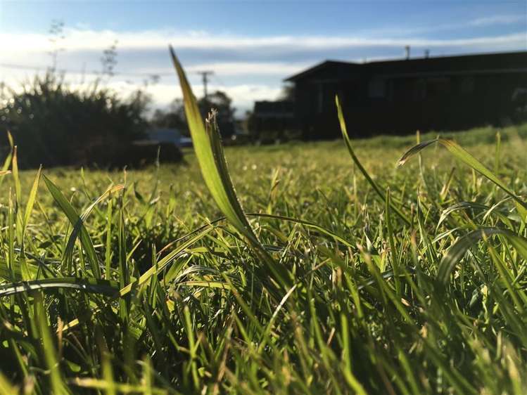 105 Panorama Road Clifton_10