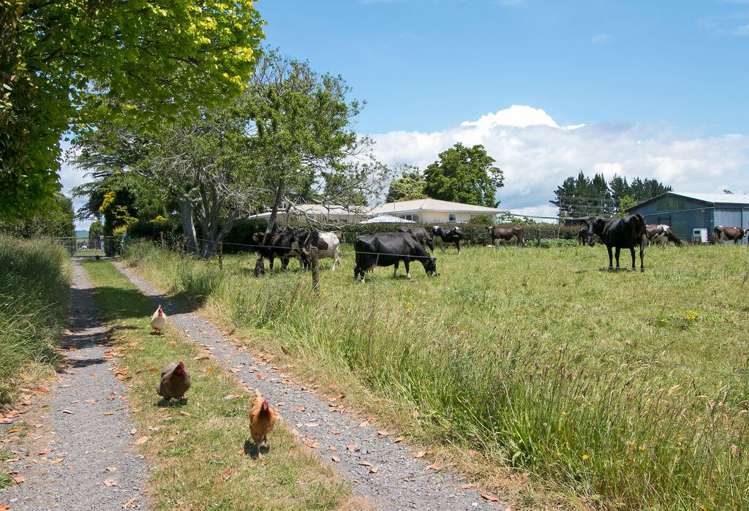 305 Waihi Beach Road Waihi_16