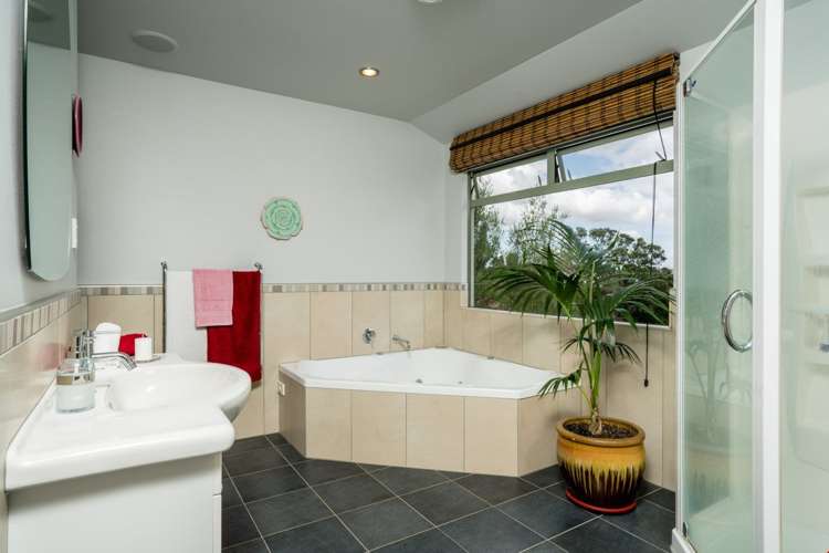 8b Dundas Road Riverside_11