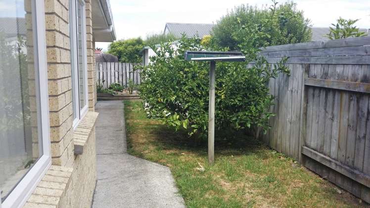 8 Paradise Point Place One Tree Point_14