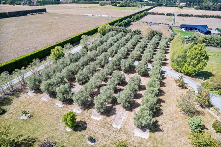 881 Two Chain Road Swannanoa_21