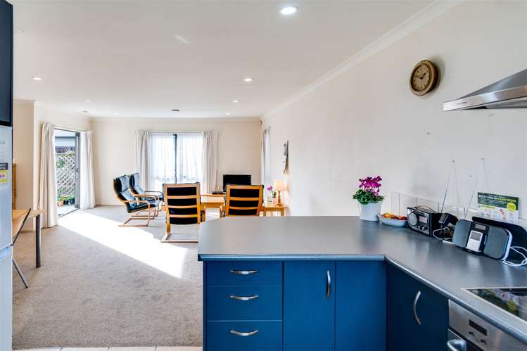 141b Napier Road Havelock North_7