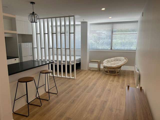 Renovated Studio Apartment