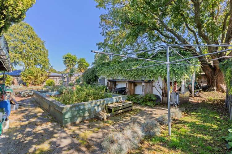 49 Dillons Point Road Islington_19