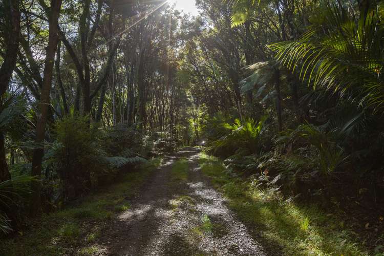 226 Peria Road Peria_22