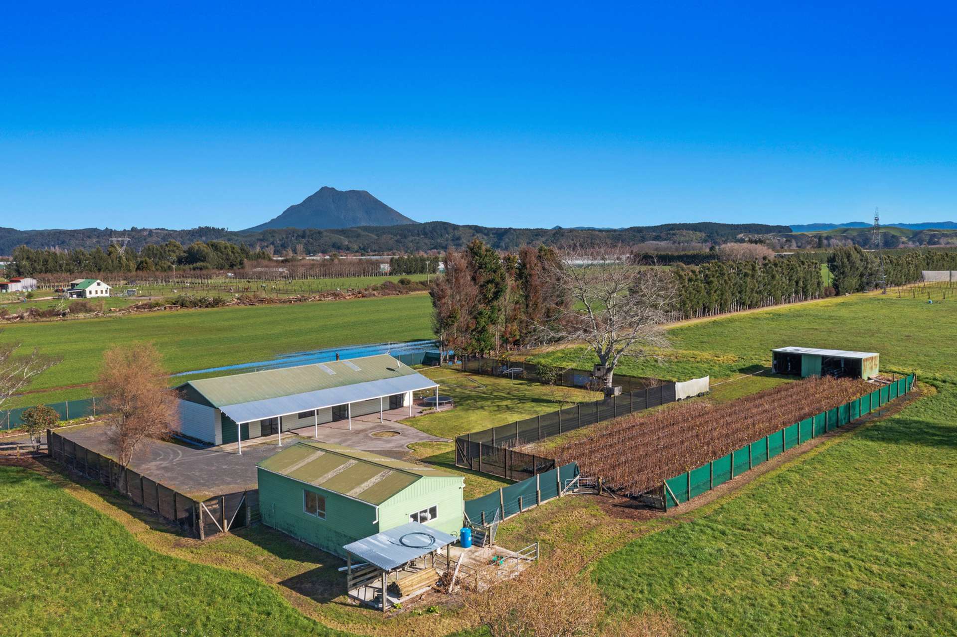 390 Macdonald Road Whakatane Whakatāne Rural Property For Sale OneRoof