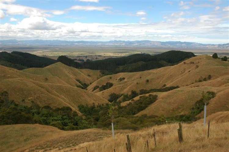 Waiti Road Tahuna_11