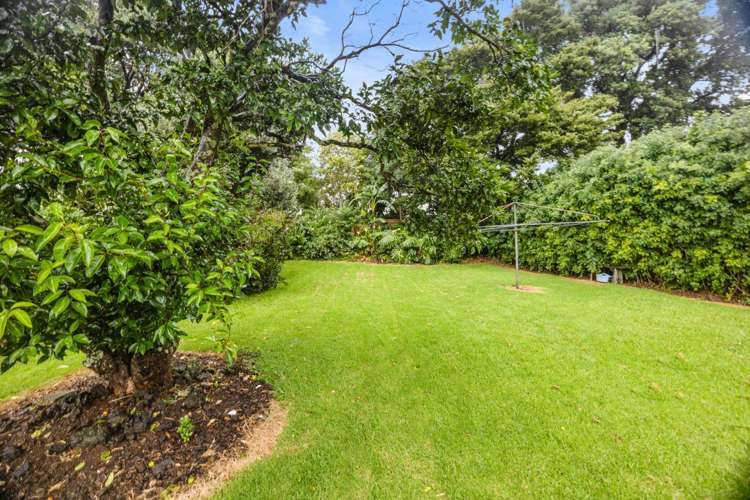 10 Grove Road Sandringham_4