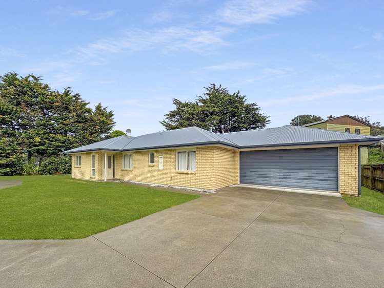 29 Nikau Street_0