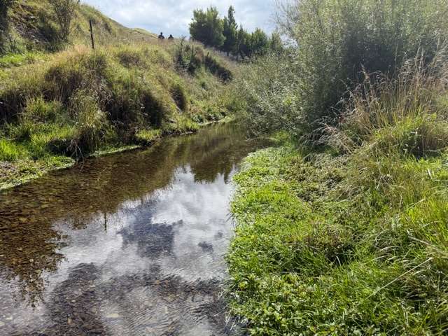 . Tamaki East Road Dannevirke_4