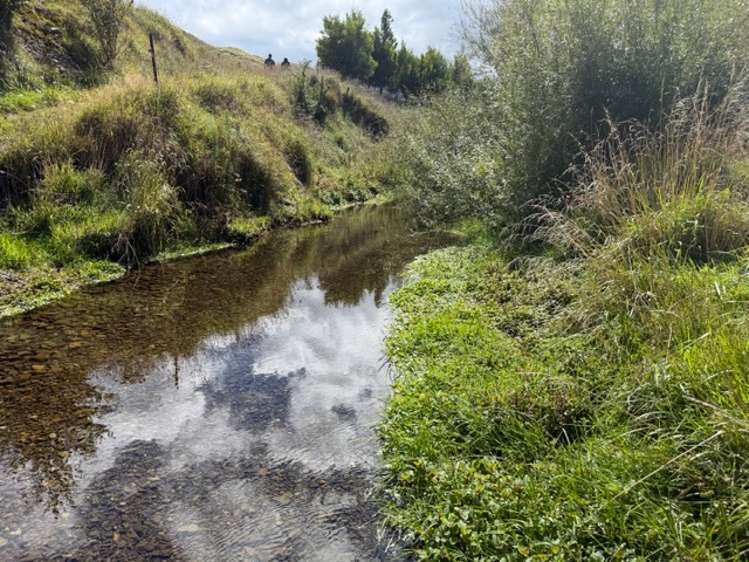 . Tamaki East Road Dannevirke_4