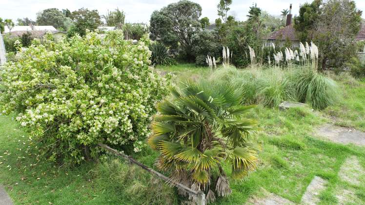 25 Allen Bell Drive Kaitaia_1