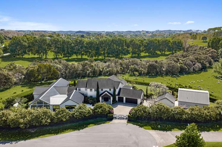 85 Goodland Drive Dairy Flat_33