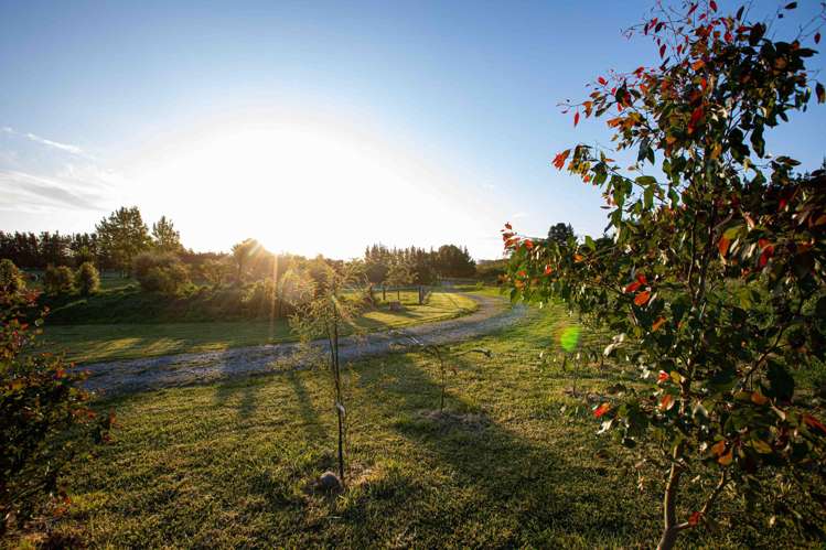 183 Terrace Road Cust_7