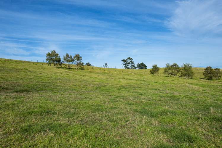 Parahi Road Ruawai_19