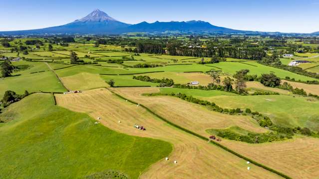 Upland Road Egmont Village_3