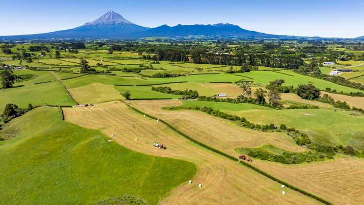 Upland Road Egmont Village_3