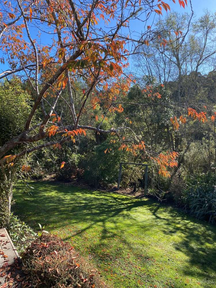 2 Hislop Street Geraldine_10