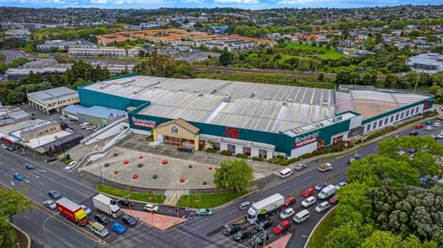 Large - format Investment - Bunnings New Lynn