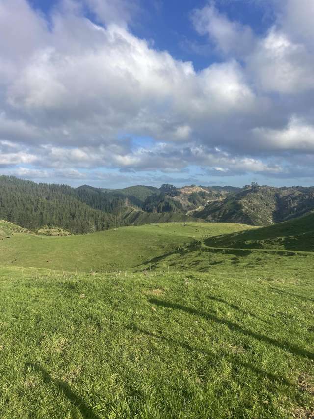 Stratford grazing and forestry