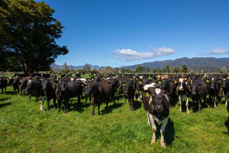 1707-1780 Takaka Valley Highway East Takaka_1